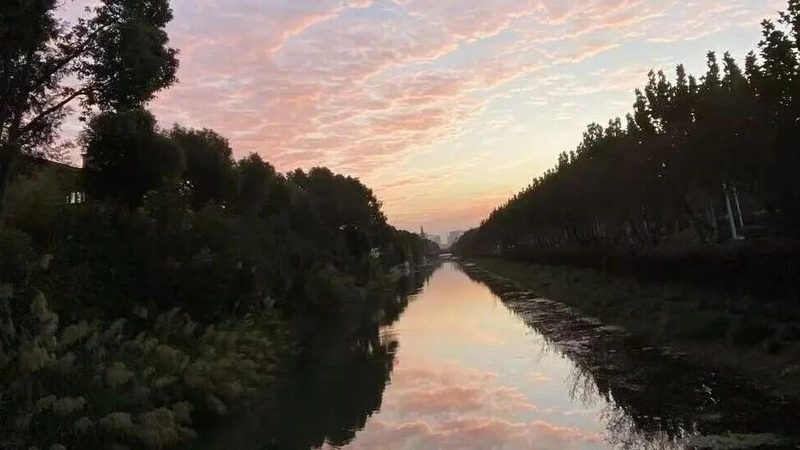 根据商标局的要求，及时补充缺失的材料。在补充材料时，应注意以下几点：